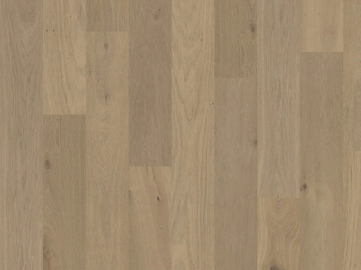 Duchateau Flooring Terra Collection